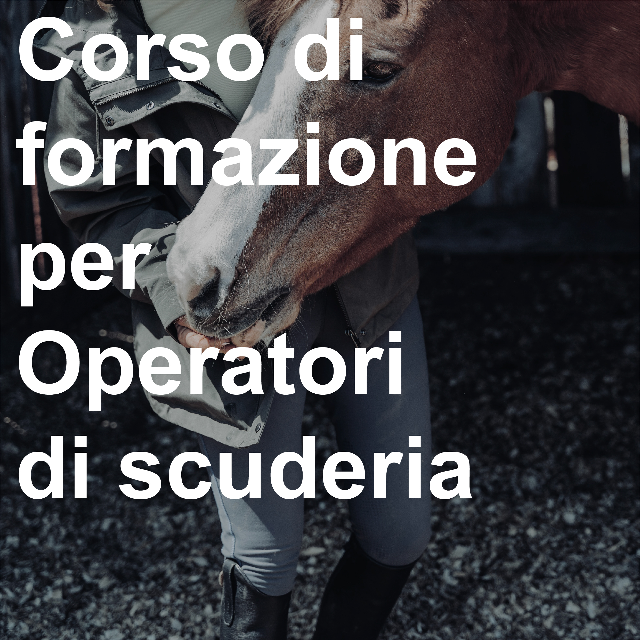 LAVORARECOICAVALLI.IT®