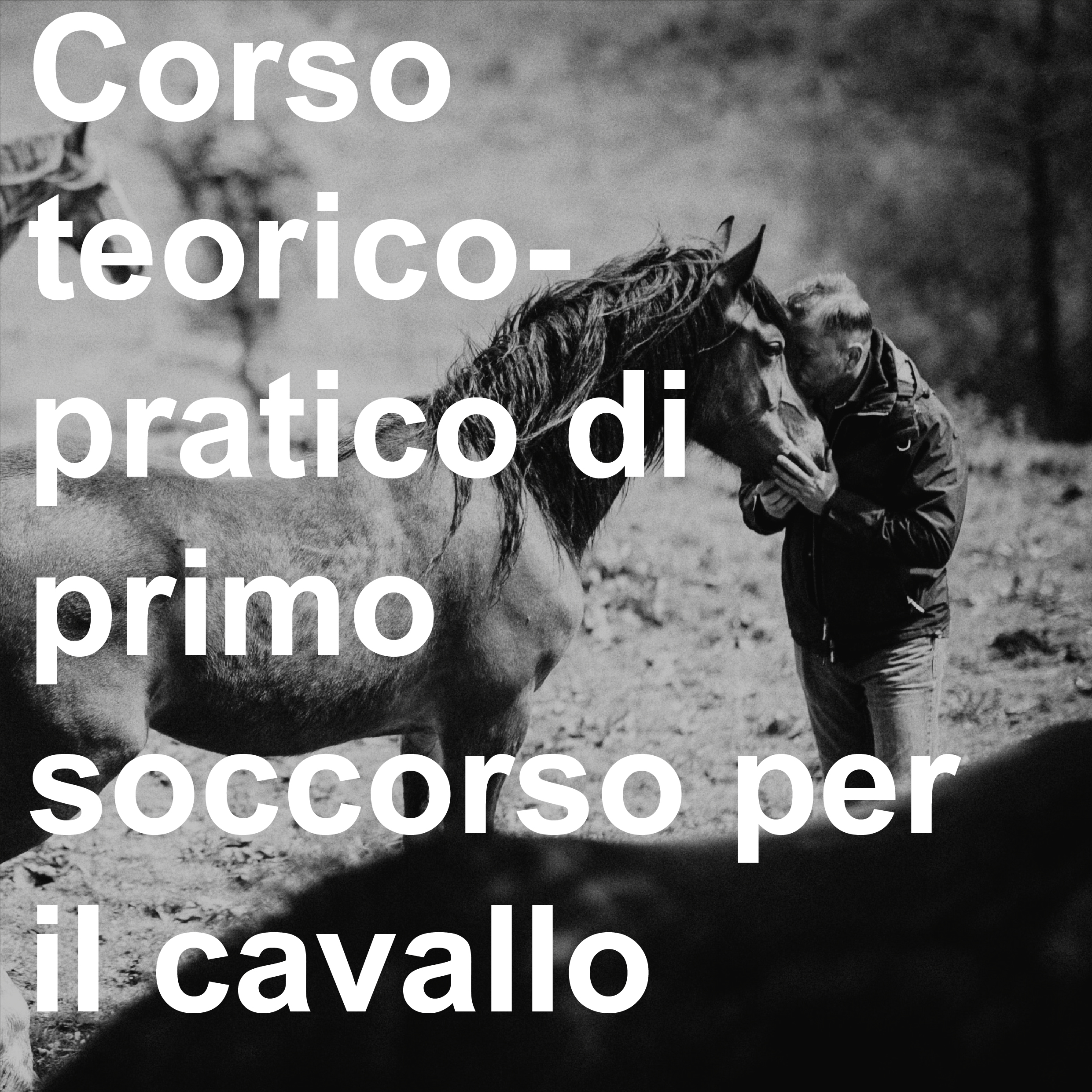 LAVORARECOICAVALLI.IT®