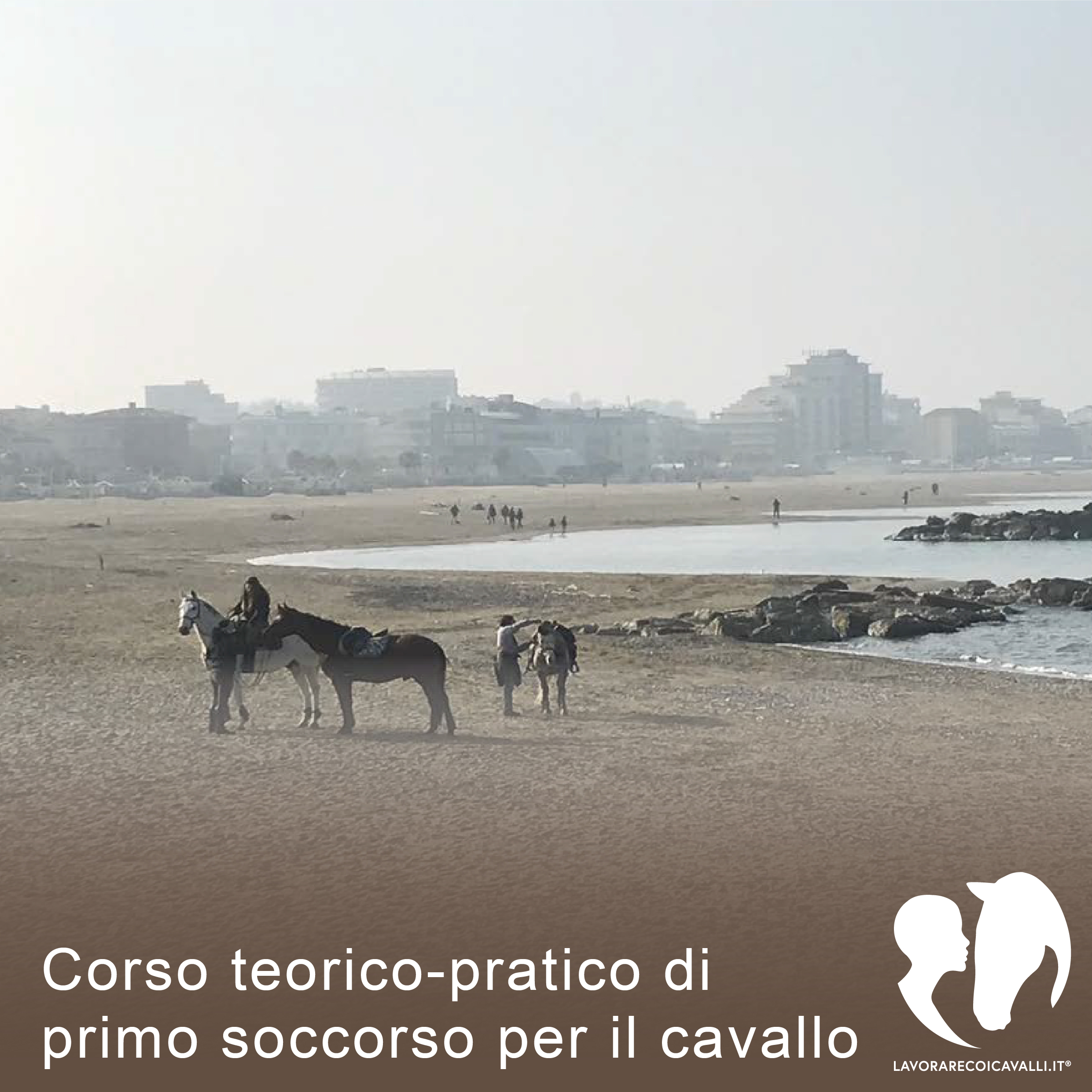 LAVORARECOICAVALLI.IT®