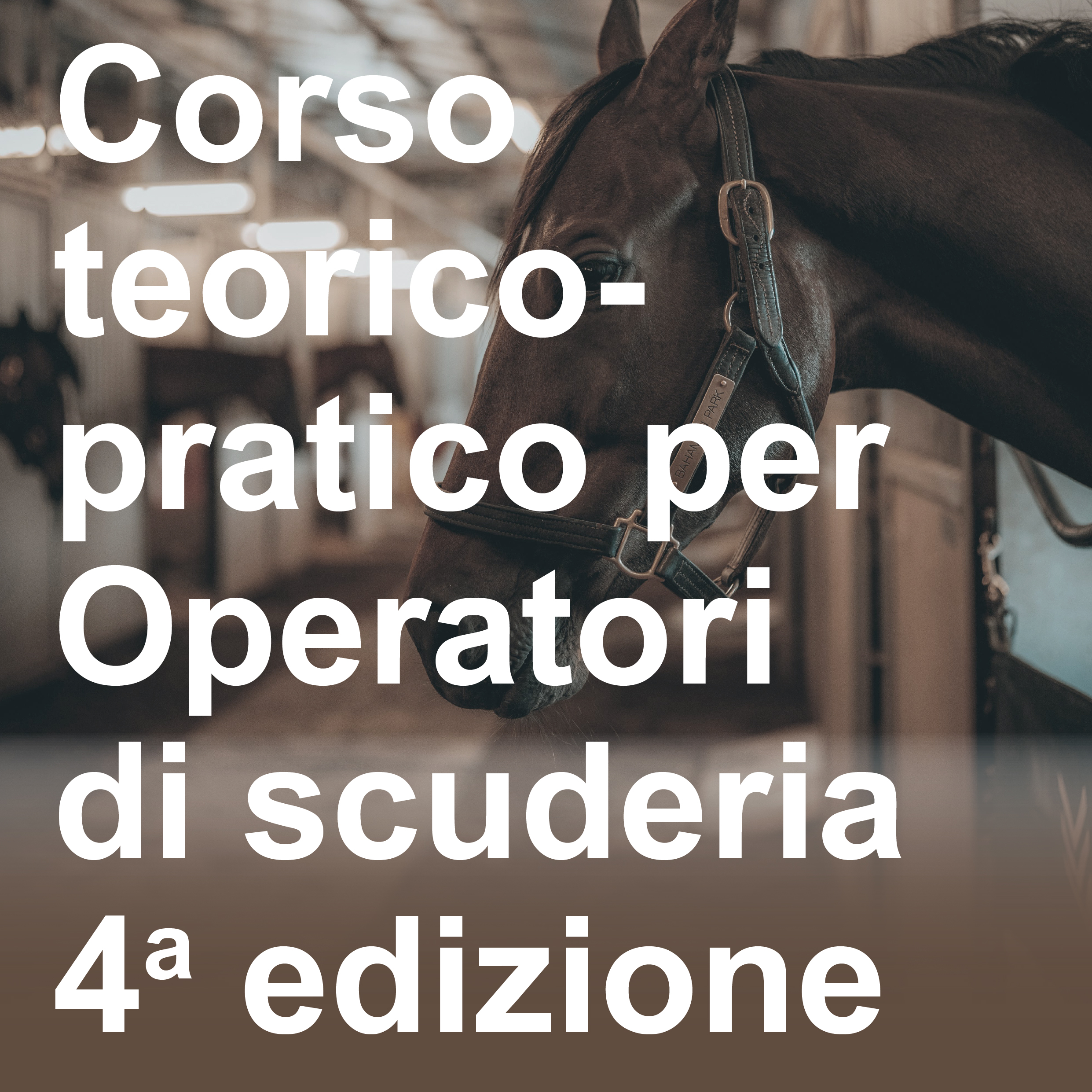 CORSO TEORICO-PRATICO PER OPERATORI DI SCUDERIA